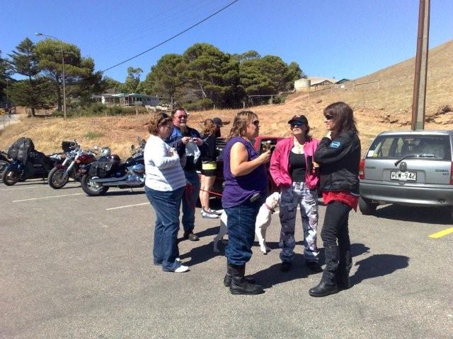 Photo Courtesy of Nasef