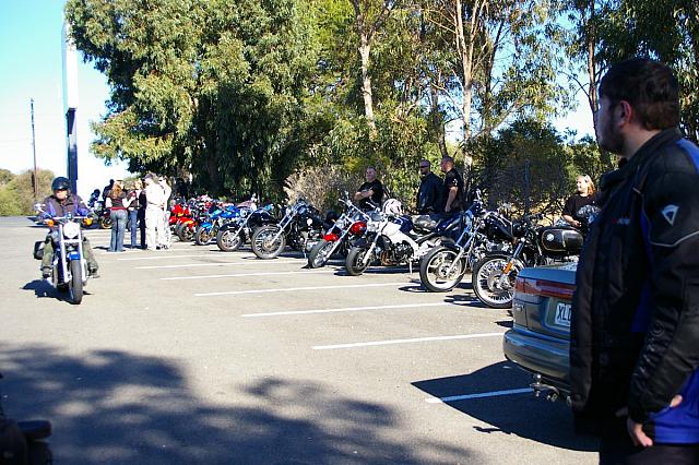 Photo courtesy of Rene.