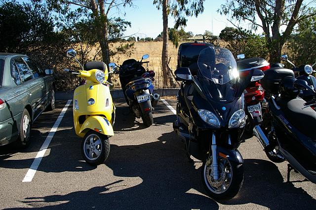 Photo courtesy of Rene.