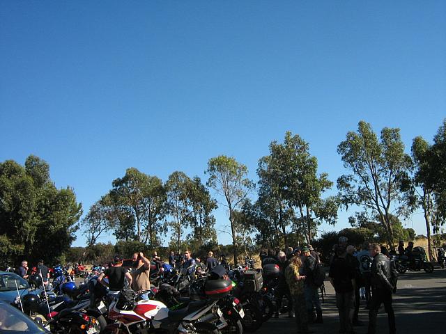 Photo courtesy of Sonya.