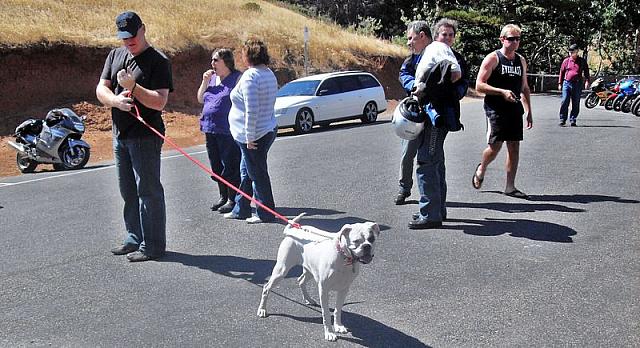 Photo courtesy of Jodie