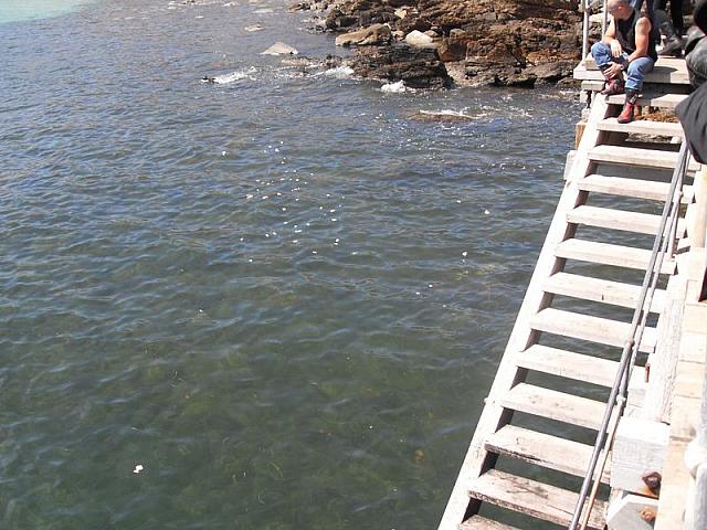 Photo courtesy of Jodie