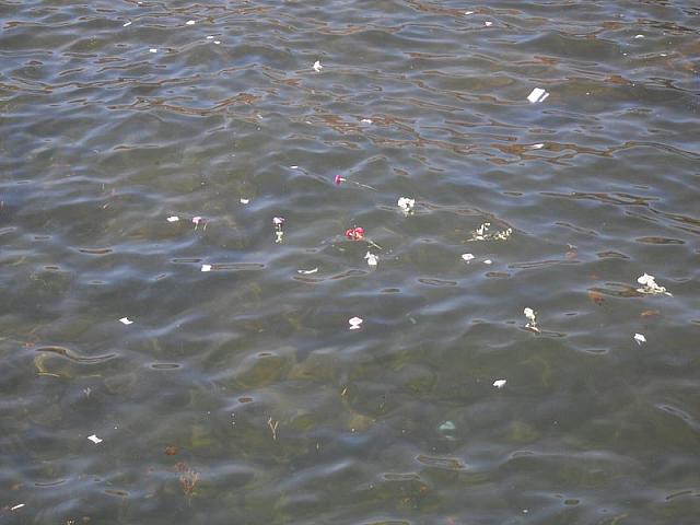 Photo courtesy of Jodie