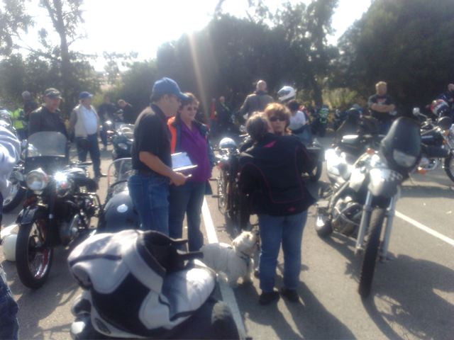 Photo courtesy of Nasef