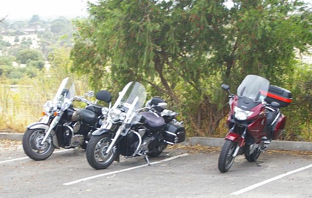 Photo courtesy of Rene