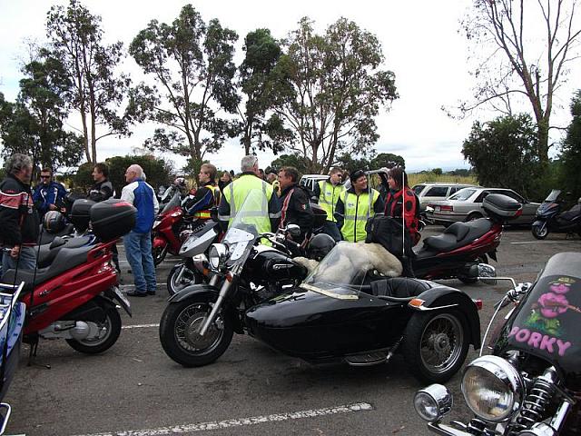 Photo courtesy of Dutchy.