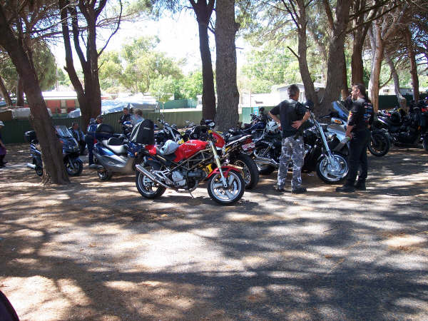 Photo courtesy of Kelvin