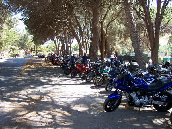 Photo courtesy of Kelvin