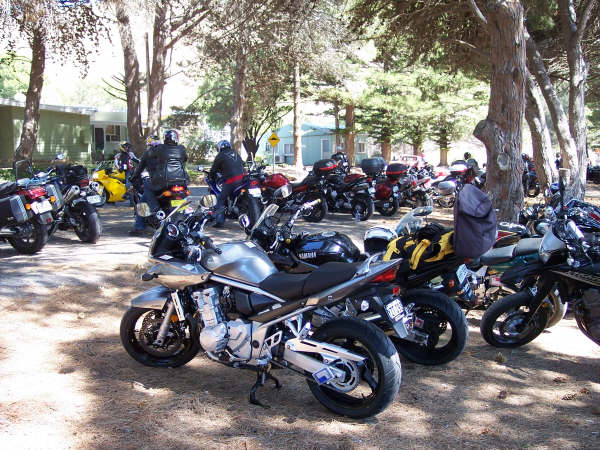 Photo courtesy of Kelvin