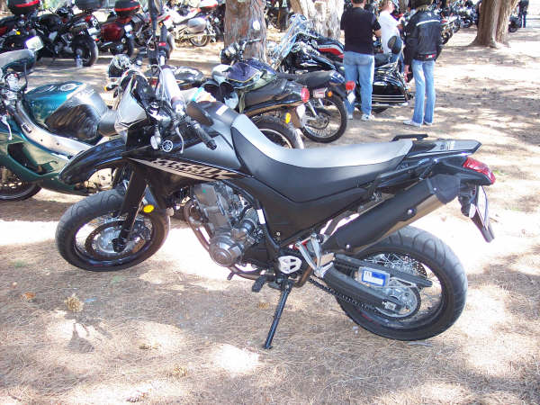 Photo courtesy of Kelvin