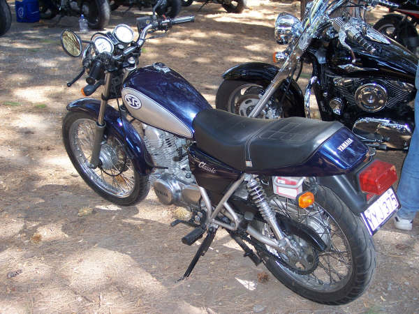 Photo courtesy of Kelvin