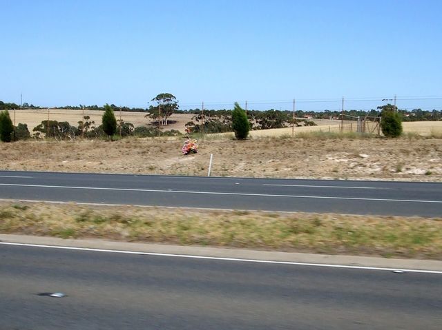 Photo courtesy of Jodie.g