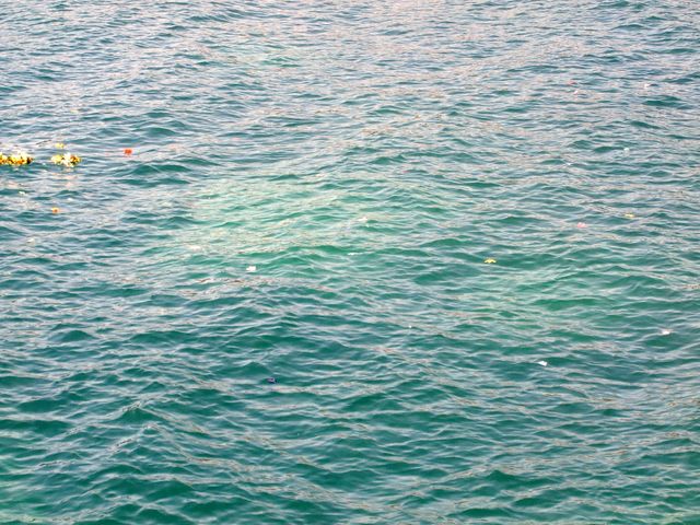 Photo courtesy of Jodie.