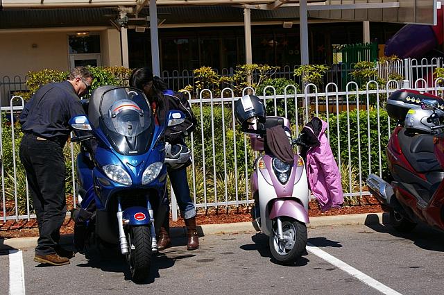 Photo courtesy of Rene.