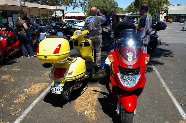 Photo courtesy of Rene