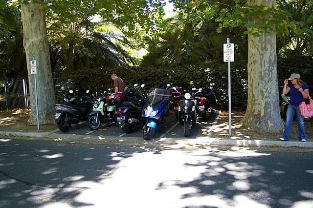 Photo courtesy of Rene