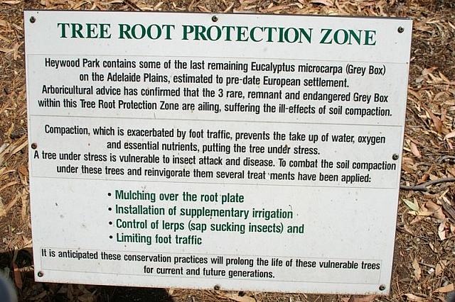 Photo courtesy of Rene