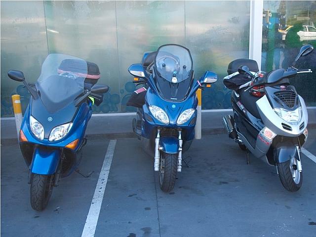 Photo courtesy of Rene