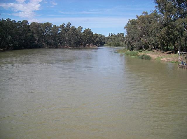 006-River Murray at Swan Hill.JPG