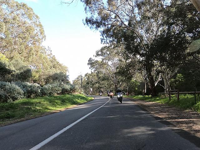 Samrats 20200809 351