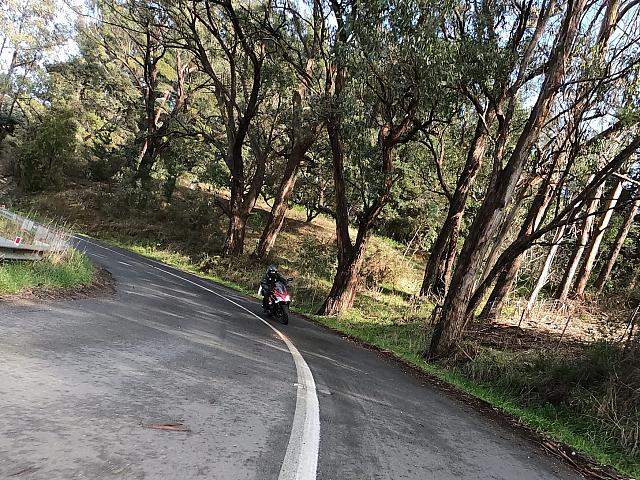 Samrats 20200809 409