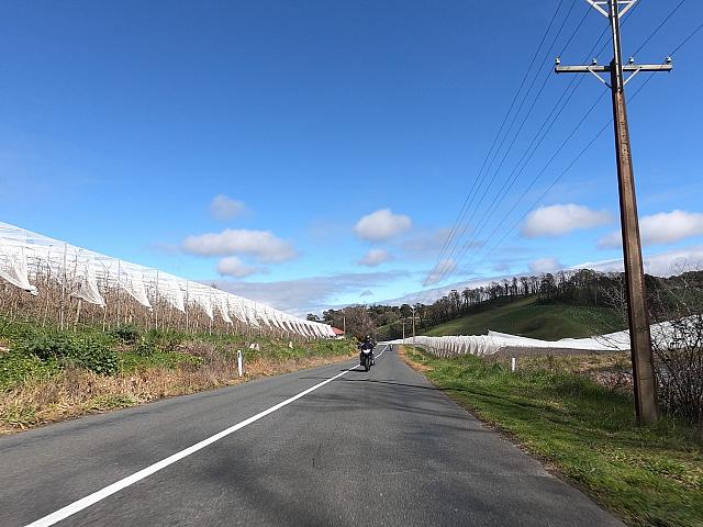 Samrats 20200809 545