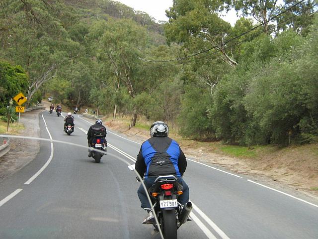 Photo courtesy of Sonia