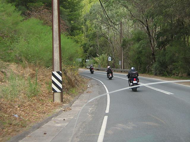 Photo courtesy of Sonia