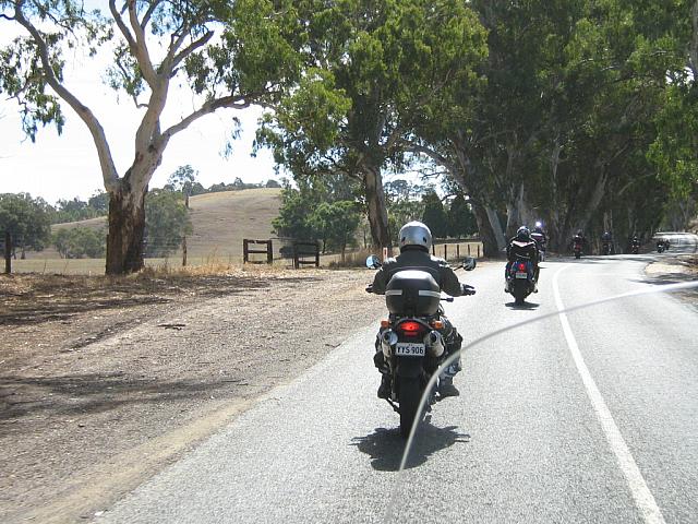 Photo courtesy of Sonia