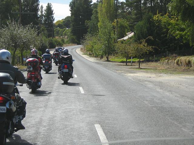 Photo courtesy of Sonia