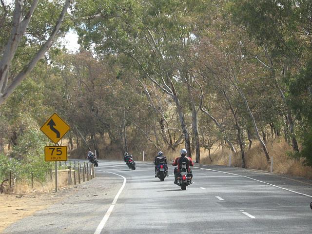 Photo courtesy of Sonia