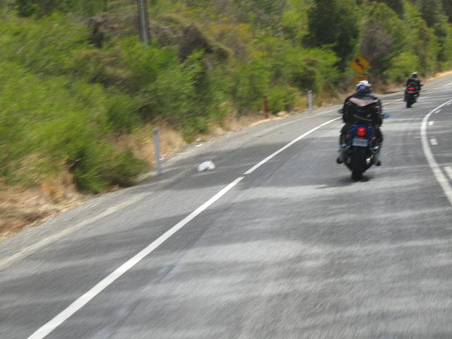 Photo courtesy of Sonia