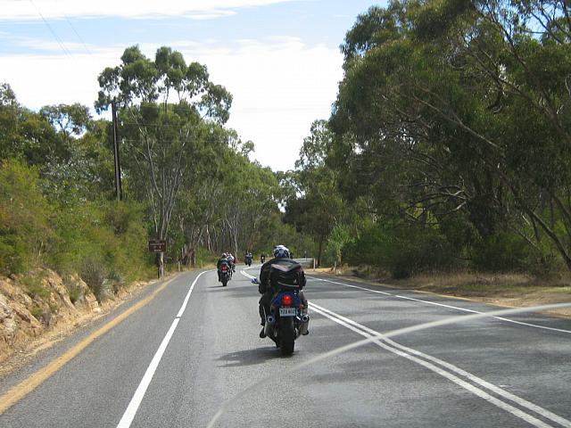 Photo courtesy of Sonia