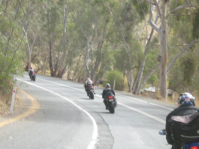 Photo courtesy of Sonia