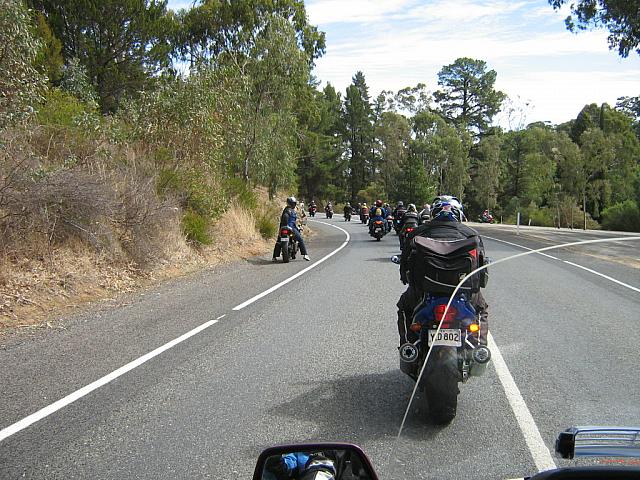 Photo courtesy of Sonia