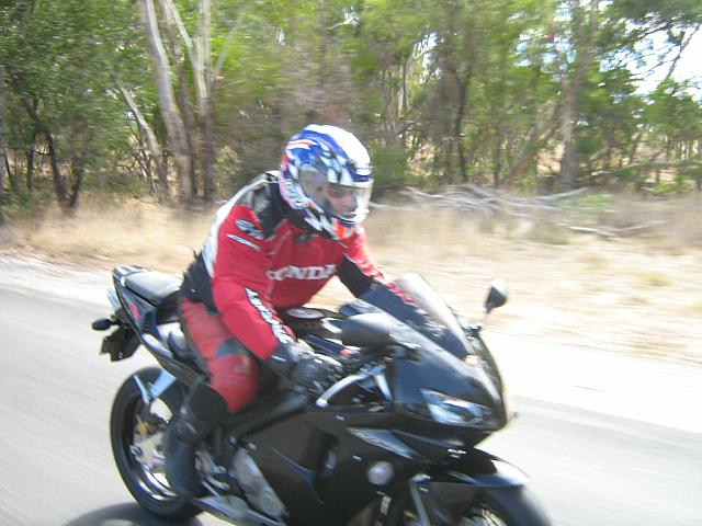 Photo courtesy of Sonia