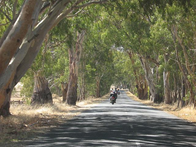 Photo courtesy of Sonia