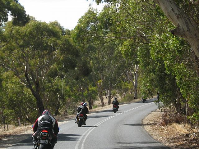 Photo courtesy of Sonia