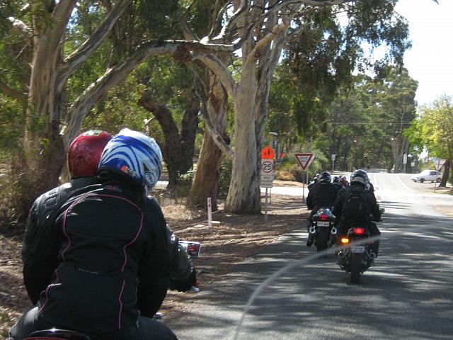 Photo courtesy of Sonia