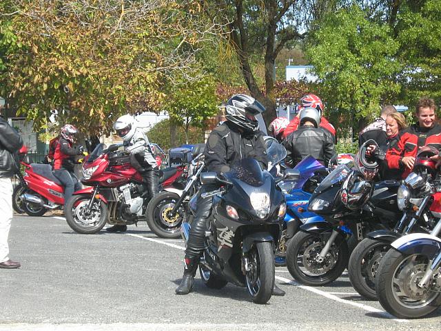 Photo courtesy of Sonia