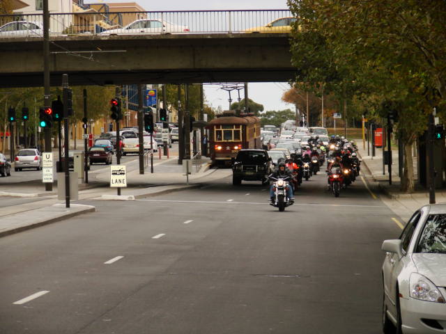 Photo courtesy of Stuart