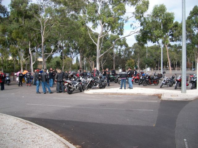 Photo courtesy of Steve