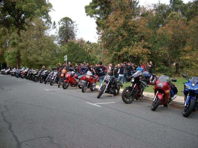 Photo courtesy of Steve