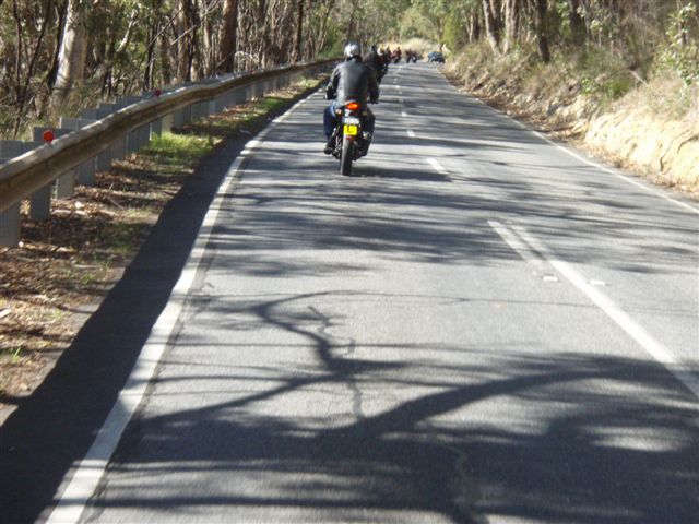 Photo courtesy of Sonya