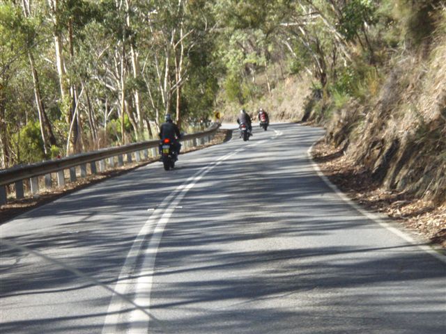 Photo courtesy of Sonya