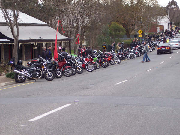 Photo Courtesy of Kelvin