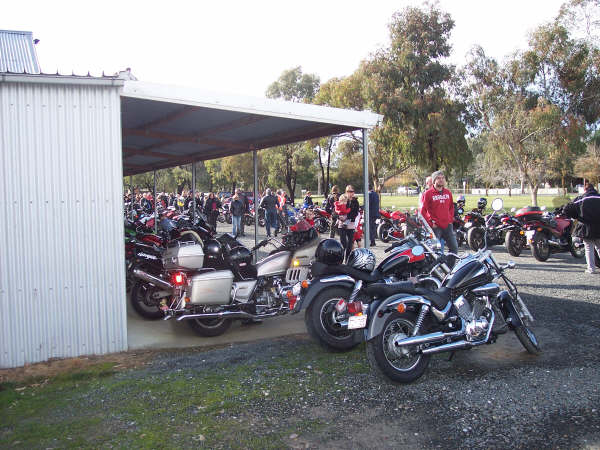 Photo Courtesy of Kelvin