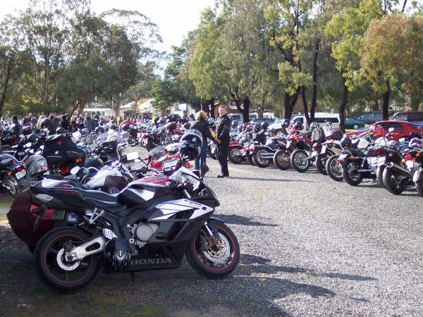 Photo Courtesy of Kelvin