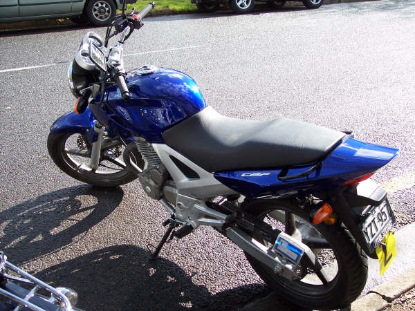 Photo Courtesy of Kelvin