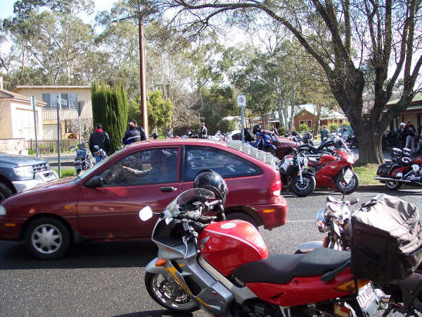 Photo Courtesy of Kelvin